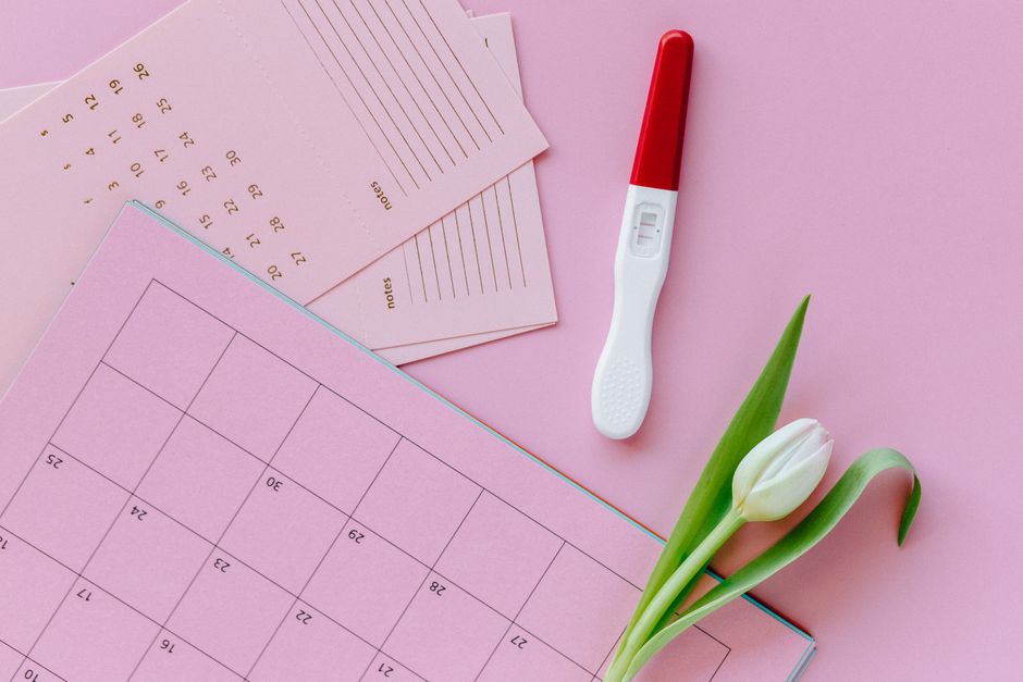Calendar showing important SNAP renewal dates