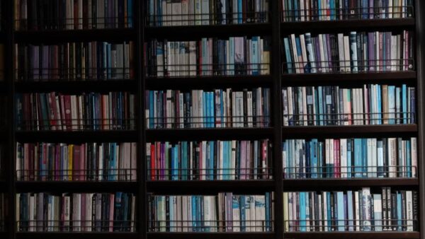 The Ultimate Guide to Knowledge: Types, Importance, and Acquisition