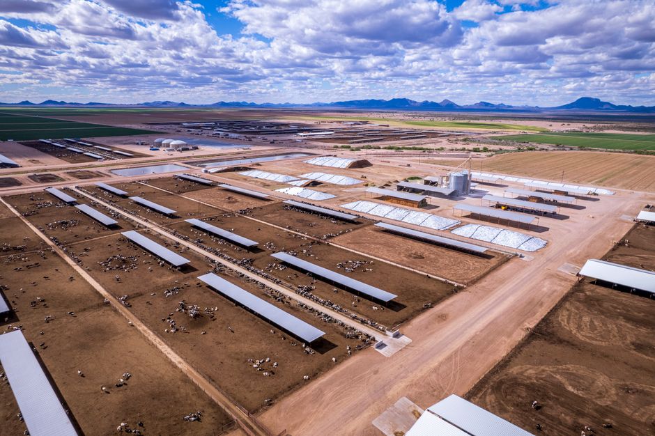 Arizona Economic Security Food Stamps: A Complete SNAP Guide